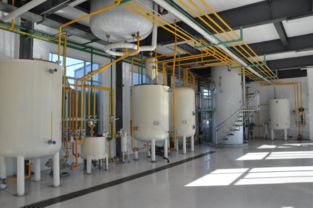 胥加寬 身殘志堅(jiān)勇創(chuàng)業(yè)，食用油香飄助殘路